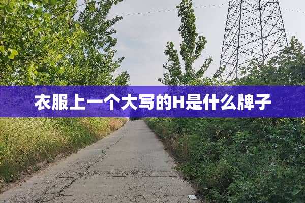 衣服上一个大写的H是什么牌子