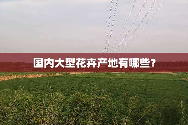 国内大型花卉产地有哪些？