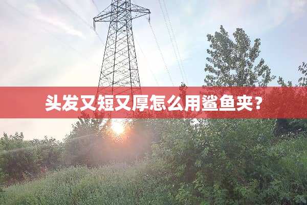 头发又短又厚怎么用鲨鱼夹？