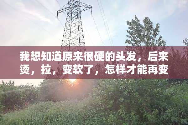 我想知道原来很硬的头发，后来烫，拉，变软了，怎样才能再变硬？