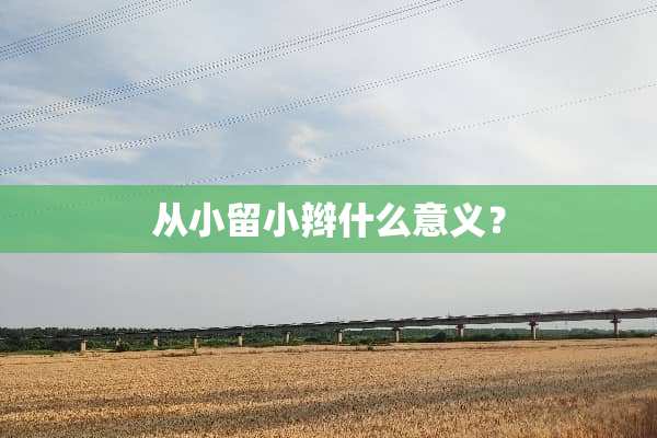 从小留小辫什么意义？