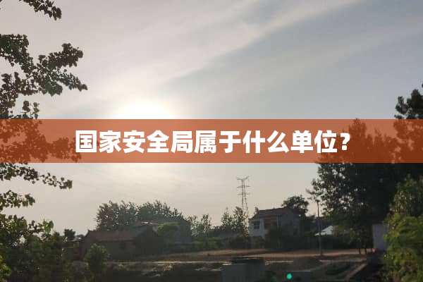 国家安全局属于什么单位？