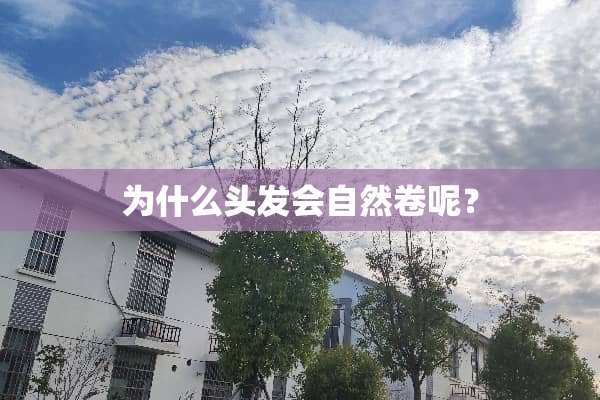 为什么头发会自然卷呢？