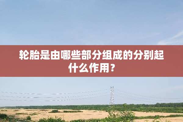轮胎是由哪些部分组成的分别起什么作用？