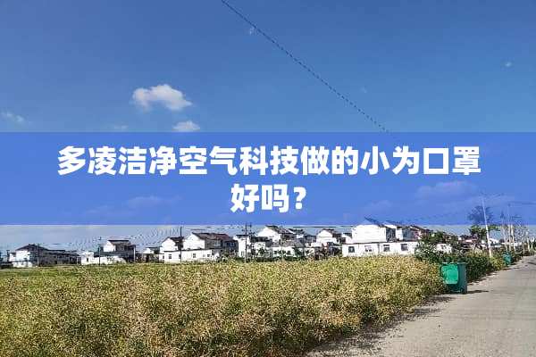 多凌洁净空气科技做的小为口罩好吗？