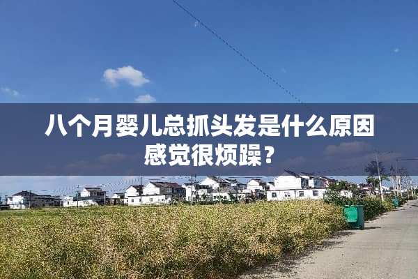 八个月婴儿总抓头发是什么原因感觉很烦躁？
