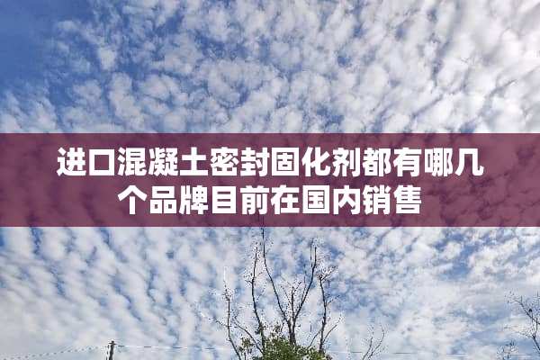 进口混凝土密封固化剂都有哪几个品牌目前在国内销售