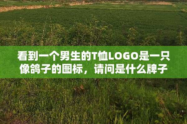 看到一个男生的T恤LOGO是一只像鸽子的图标，请问是什么牌子？那衣服很清爽。急