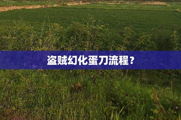 盗贼幻化蛋刀流程？