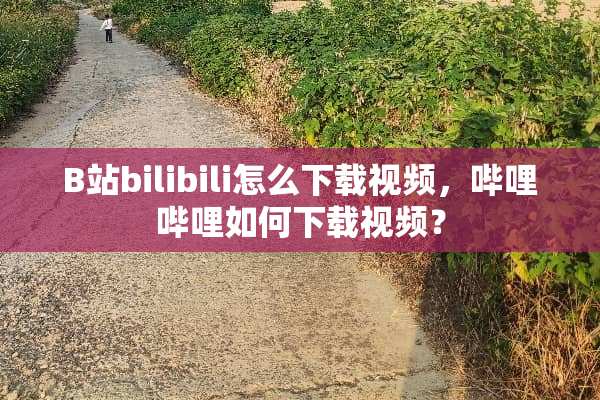B站bilibili怎么下载视频，哔哩哔哩如何下载视频？