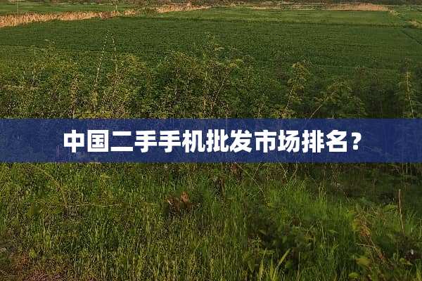 中国二手手机批发市场排名？