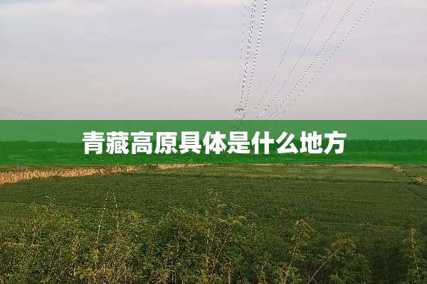 青藏高原具体是什么地方