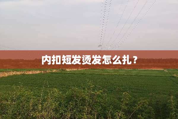内扣短发烫发怎么扎？