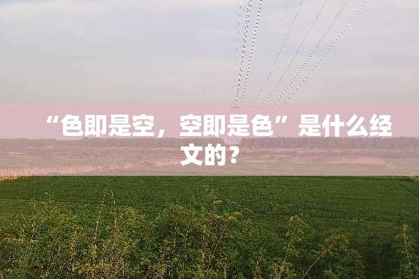 “色即是空，空即是色”是什么**的？