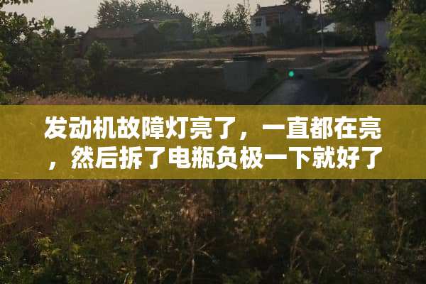 发动机故障灯亮了，一直都在亮，然后拆了电瓶负极一下就好了，是什么原因？