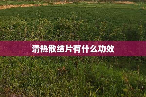清热散结片有什么功效
