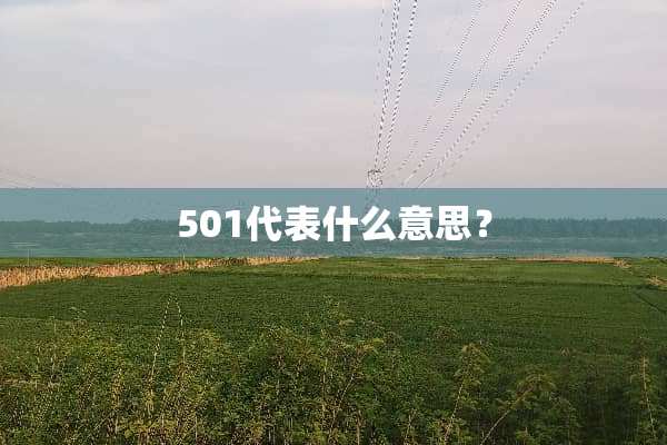 501代表什么意思？
