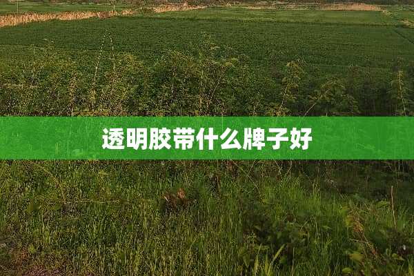 透明胶带什么牌子好