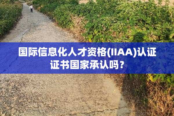 国际信息化人才资格(IIAA)认证证书国家承认吗？