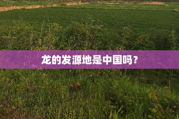 龙的发源地是中国吗？