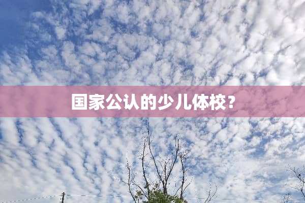 国家公认的少儿体校？