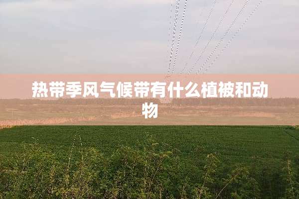 热带季风气候带有什么植被和动物