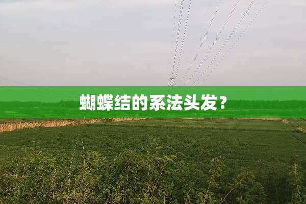 蝴蝶结的系法头发？