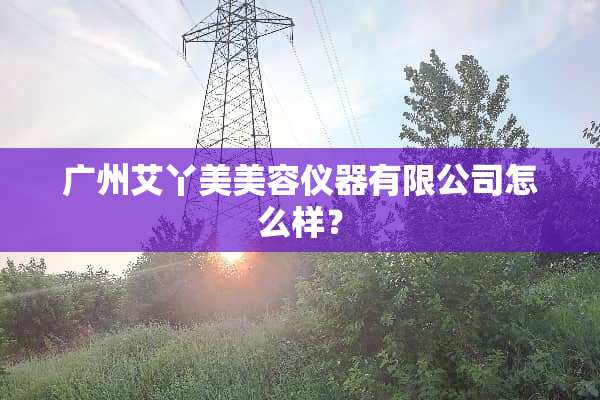 广州艾丫美美容仪器有限公司怎么样？