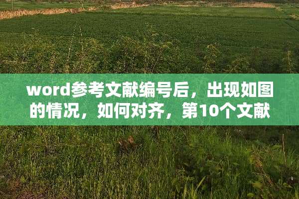 word参考文献编号后，出现如图的情况，如何对齐，第10个文献开始全都有空格了