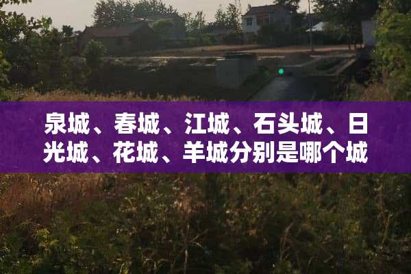 泉城、春城、江城、石头城、日光城、花城、羊城分别是哪个城市