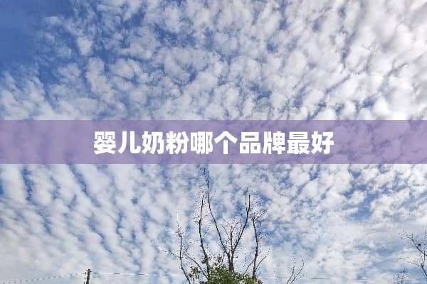 婴儿奶粉哪个品牌最好