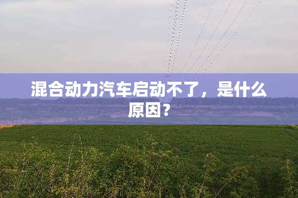 混合动力汽车启动不了，是什么原因？
