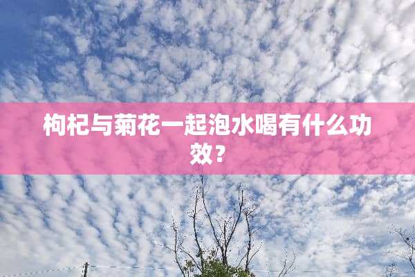枸杞与菊花一起泡水喝有什么功效？
