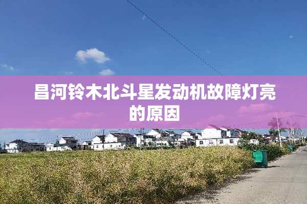 昌河铃木北斗星发动机故障灯亮的原因