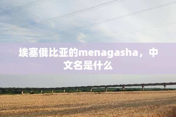 埃塞俄比亚的menagasha，中文名是什么