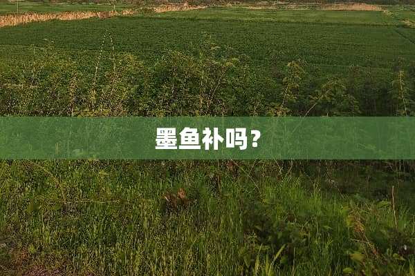 墨鱼补吗？