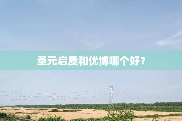 圣元启质和优博哪个好？