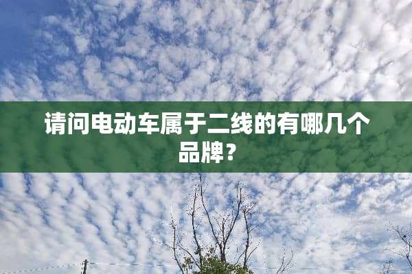 请问电动车属于二线的有哪几个品牌？