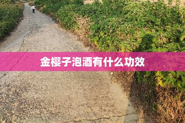 金樱子泡酒有什么功效