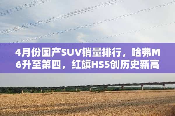 4月份国产SUV销量排行，哈弗M6升至第四，红旗HS5创历史新高
