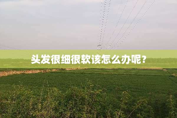头发很细很软该怎么办呢？
