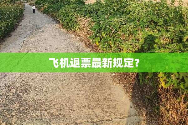飞机退票最新规定？