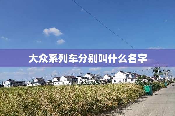 大众系列车分别叫什么名字