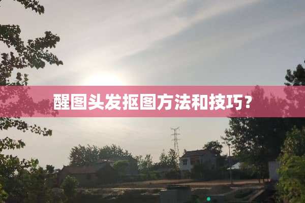 醒图头发抠图方法和技巧？