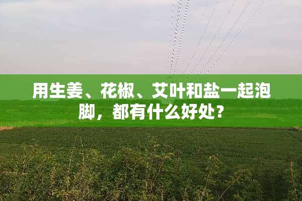 用生姜、花椒、艾叶和盐一起泡脚，都有什么好处？