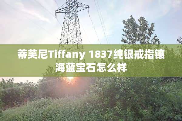 蒂芙尼Tiffany 1837纯银戒指镶海蓝宝石怎么样