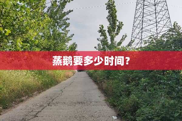 蒸鹅要多少时间？