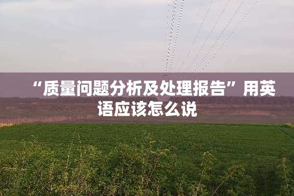 “质量问题分析及处理报告”用英语应该怎么说