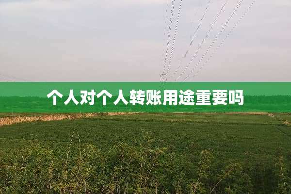 个人对个人转账用途重要吗