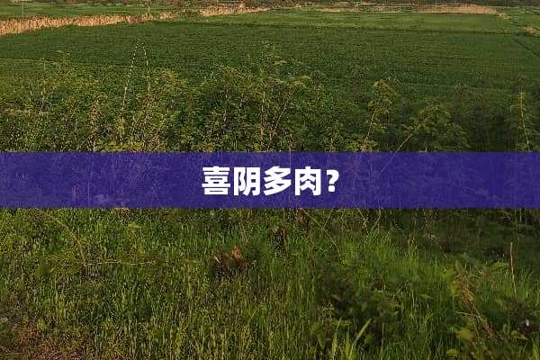喜*多肉？